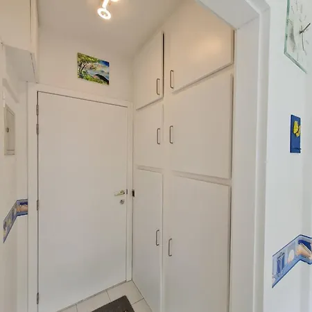 Viking 2.2 コクセッド